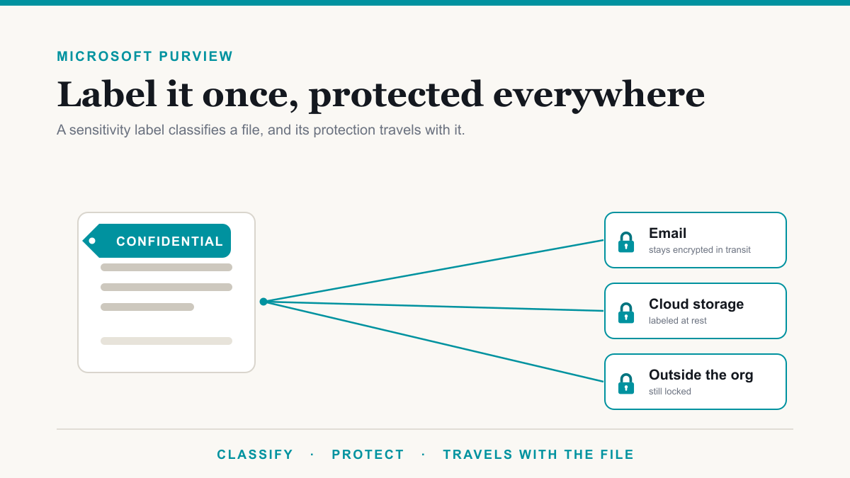 Microsoft Purview Sensitivity Labels Explained